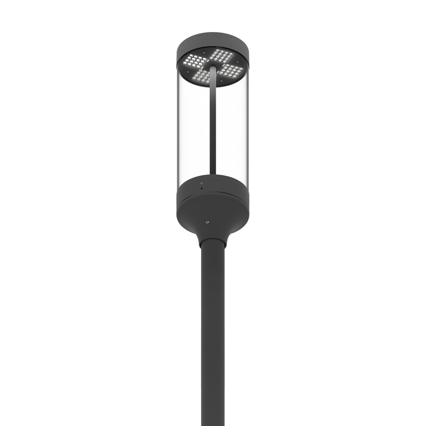 COLOSS TOP LED